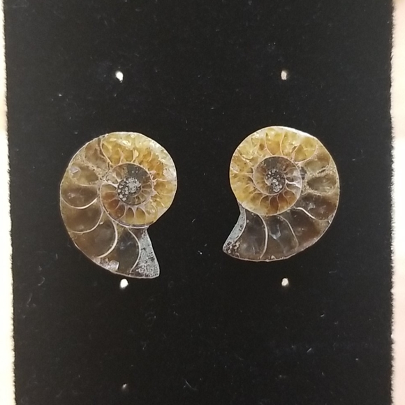 NEW Natural Ammonite Fossil Shell post earrings - Picture 1 of 5